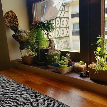 Cosy Apartment By The Magical Marais De 부르주 외부 사진